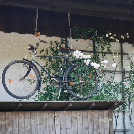 Gartenwohnung Im Gut Sonnenwald Schöllnach Exterior foto