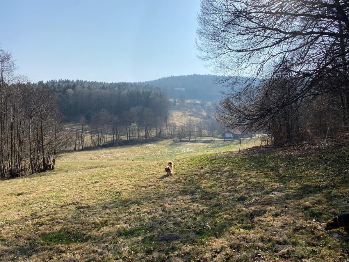 Gartenwohnung Im Gut Sonnenwald Schöllnach Exterior foto