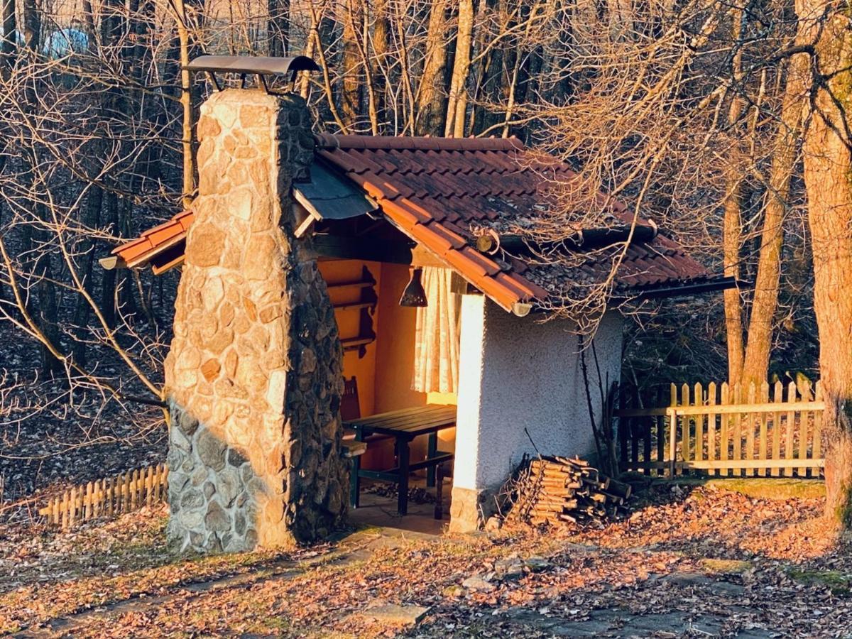 Gartenwohnung Im Gut Sonnenwald Schöllnach Exterior foto